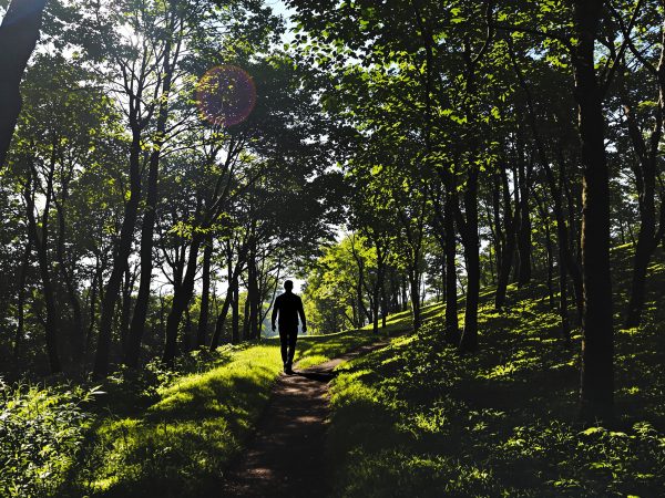 balade_nature_vitalité