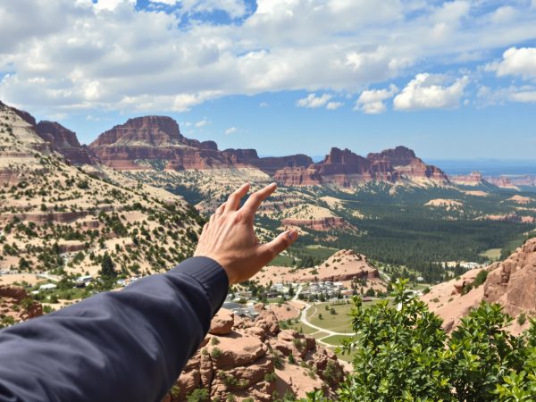 frissons_montagnes_russes