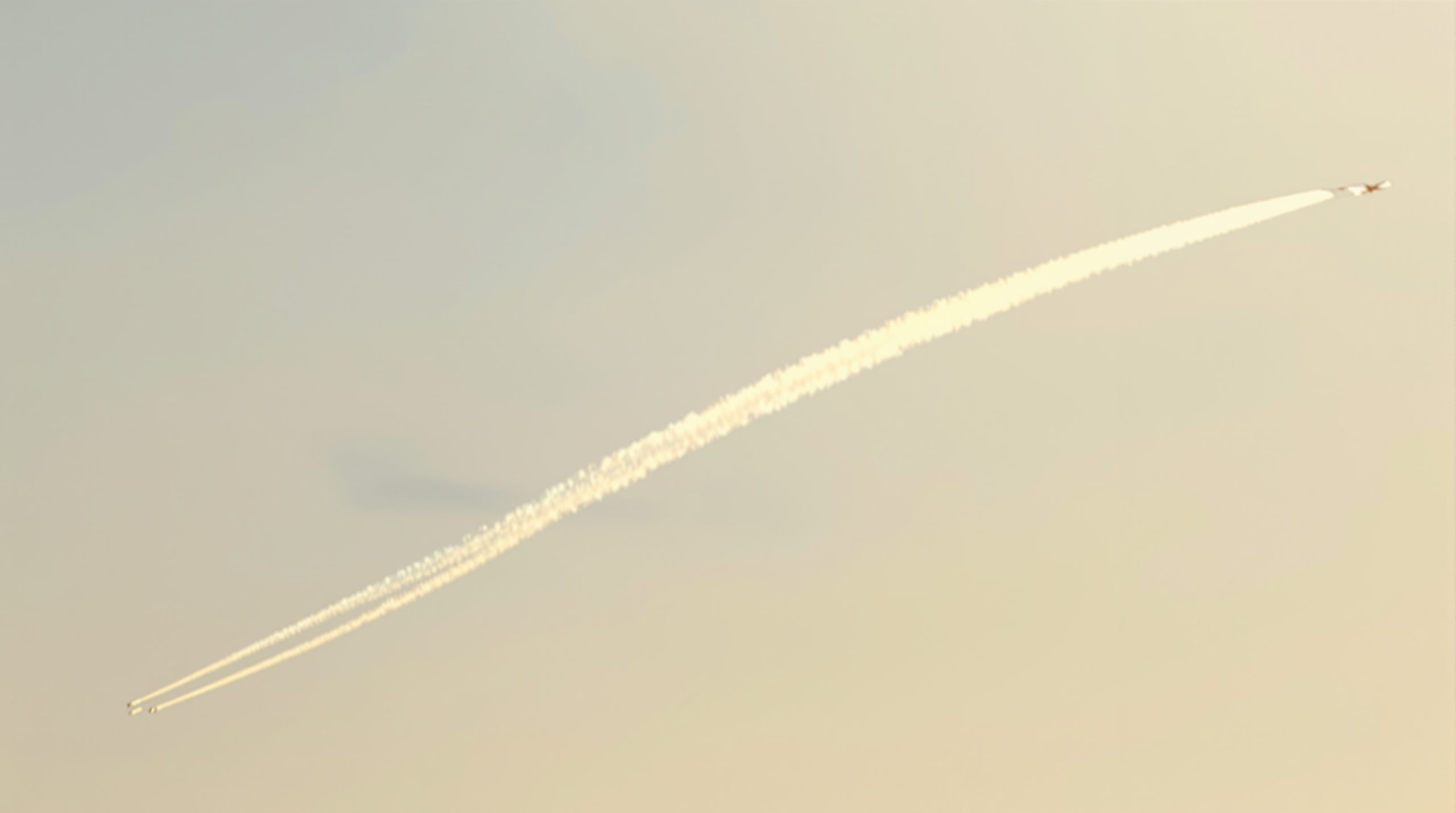 oiseaux_en_vol_parade_nuptiale