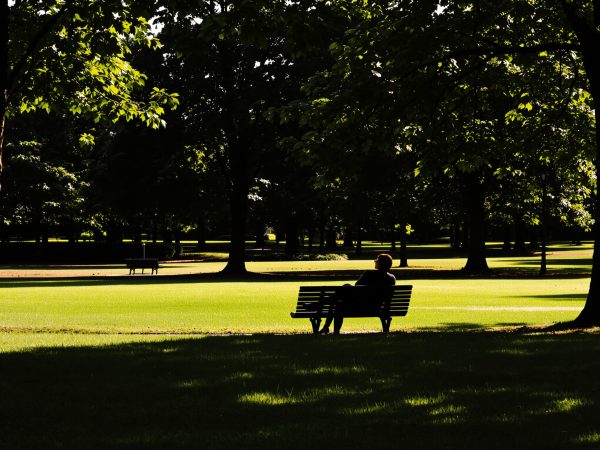 parc_silhouette_reflexion