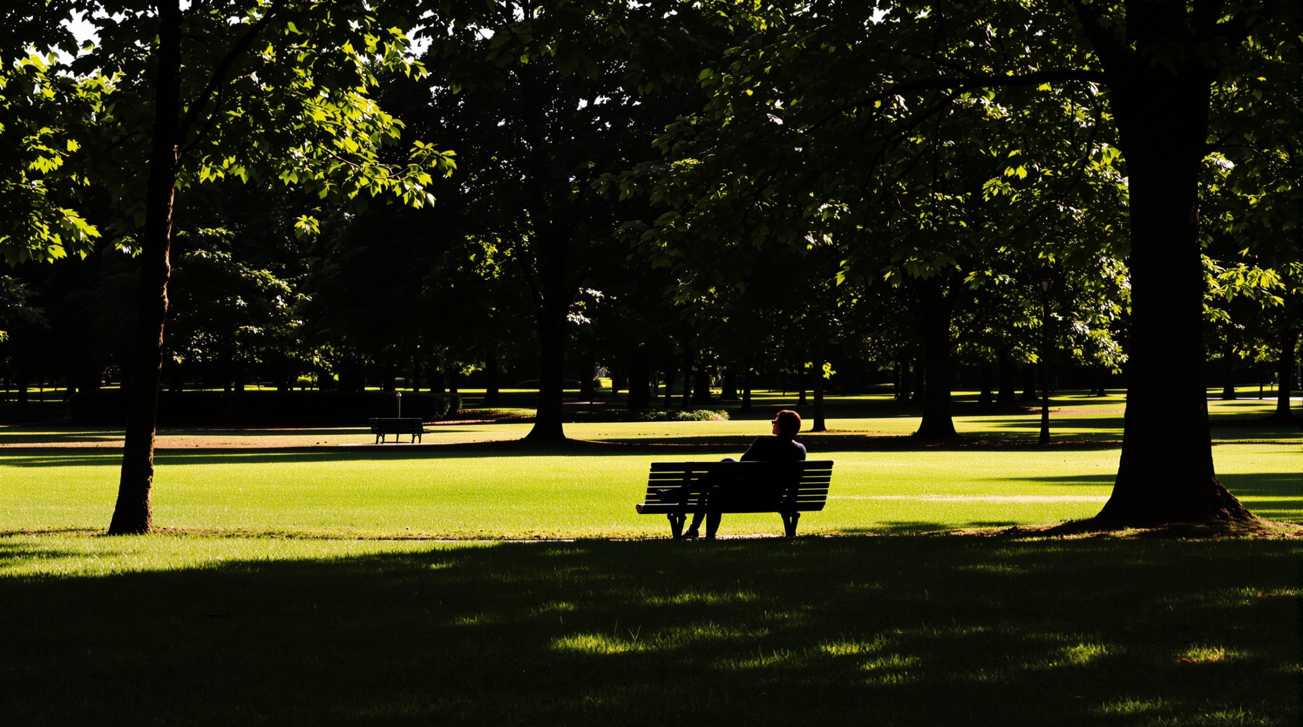 parc_silhouette_reflexion