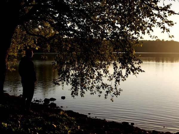 contemplation_nature_lac