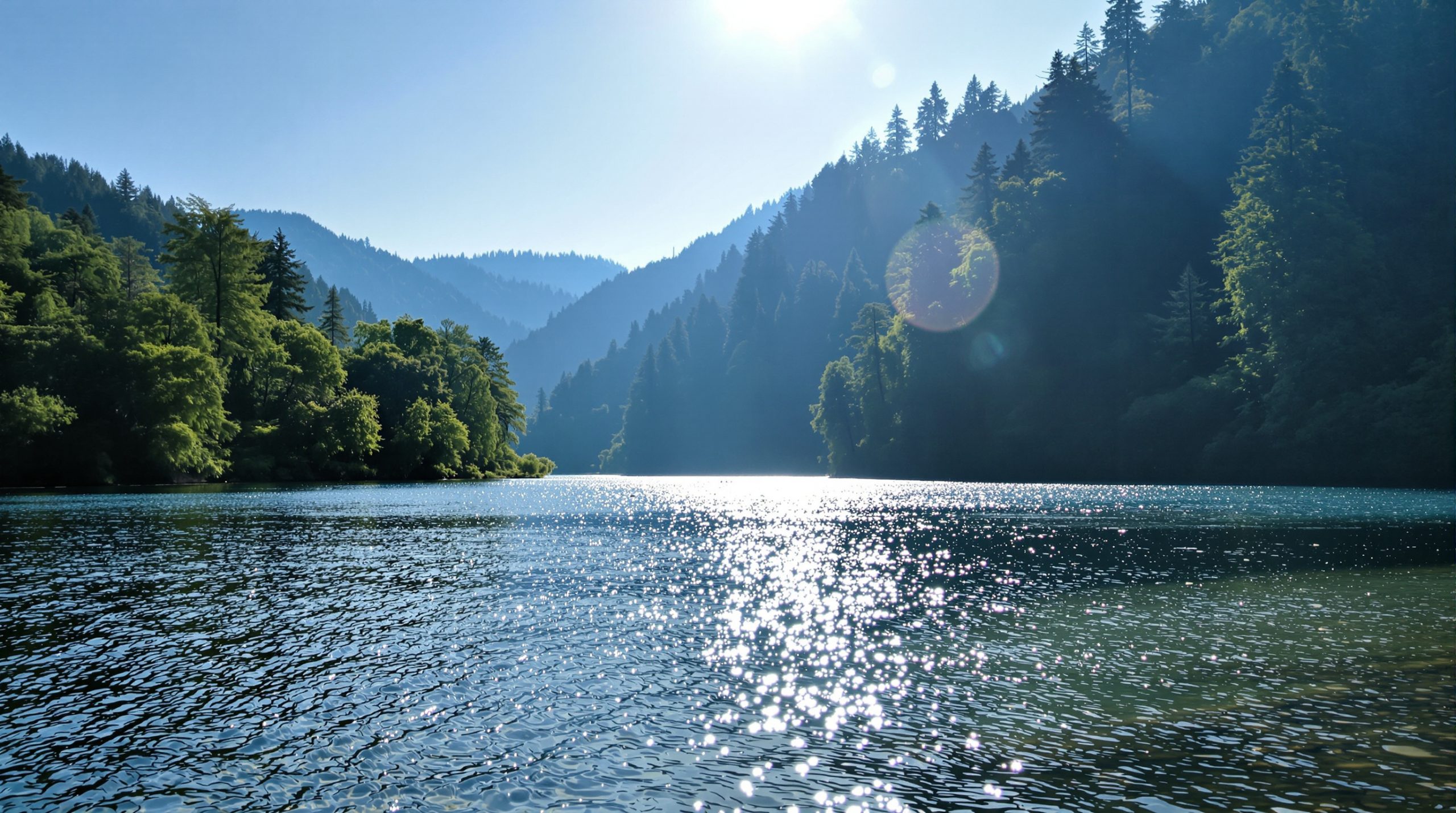 forêt_détente_régénération